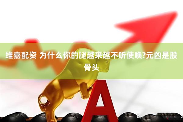 维嘉配资 为什么你的腿越来越不听使唤?元凶是股骨头